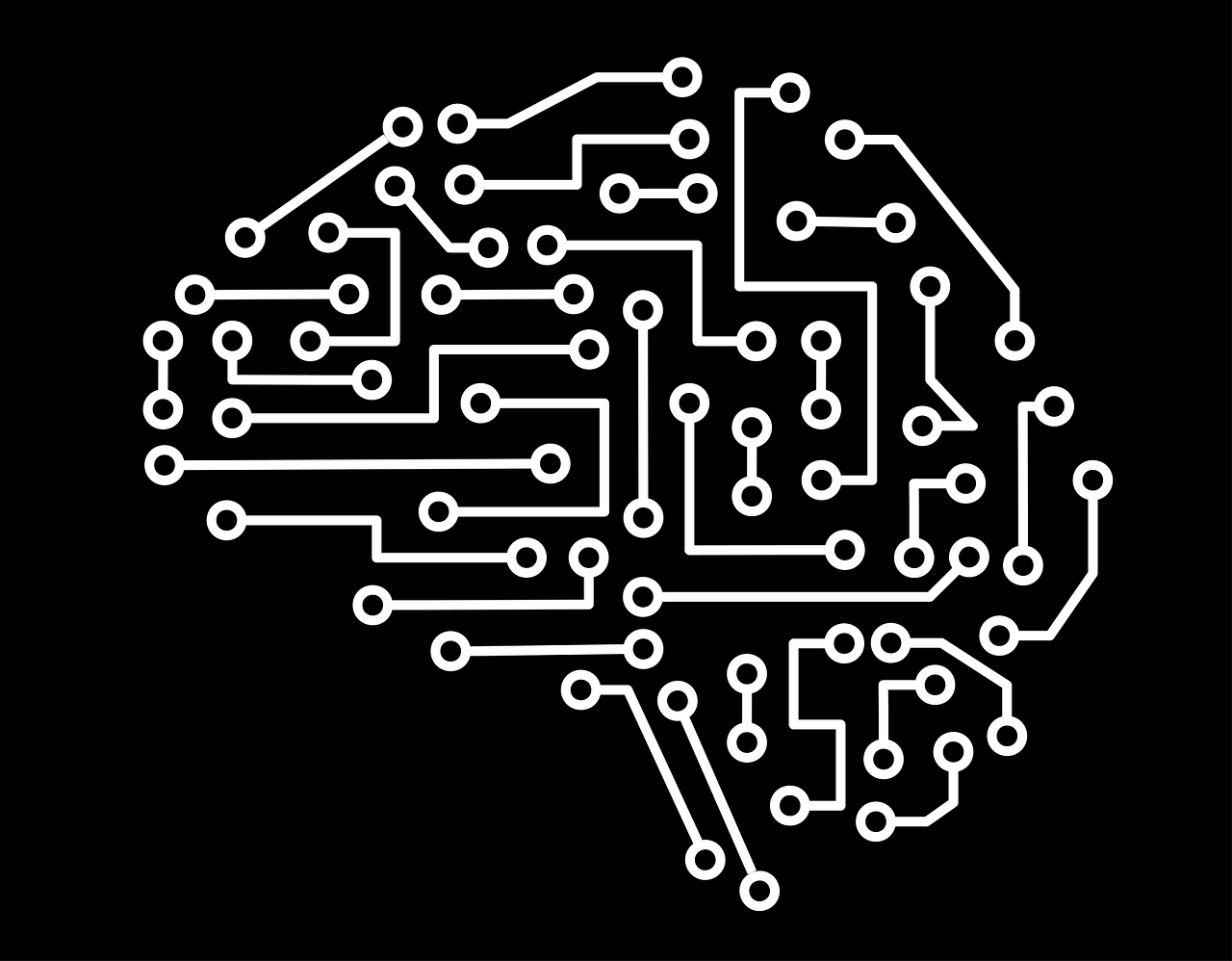 brain circuits