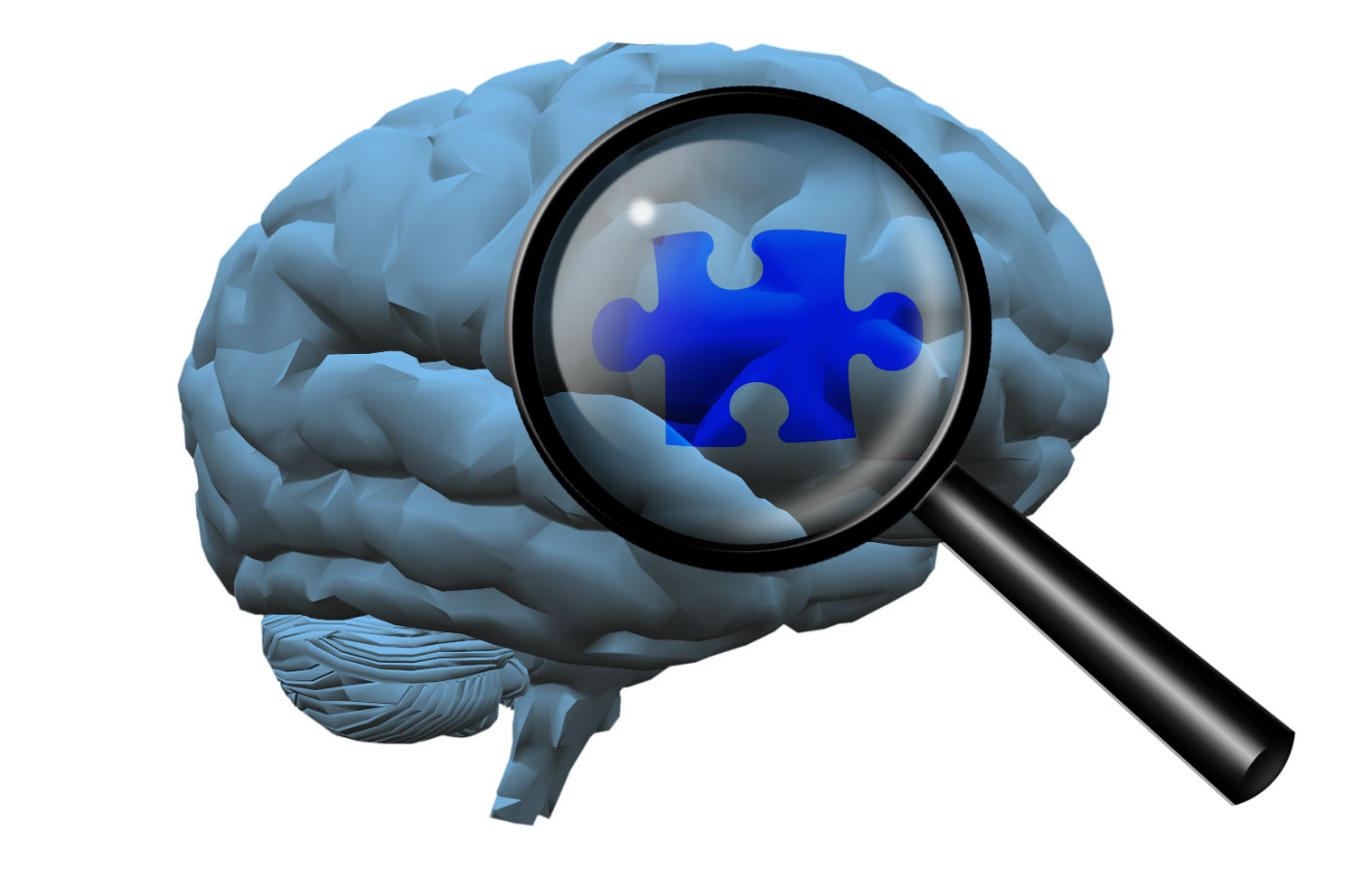 missing peice of the puzzle in your brain