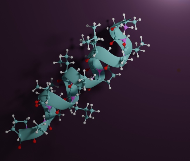 neuropeptide graphic