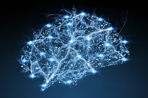 brain electrical system